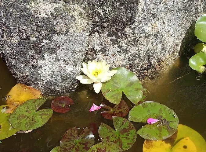 O Inino Casita Rural Costera Σπίτι διακοπών