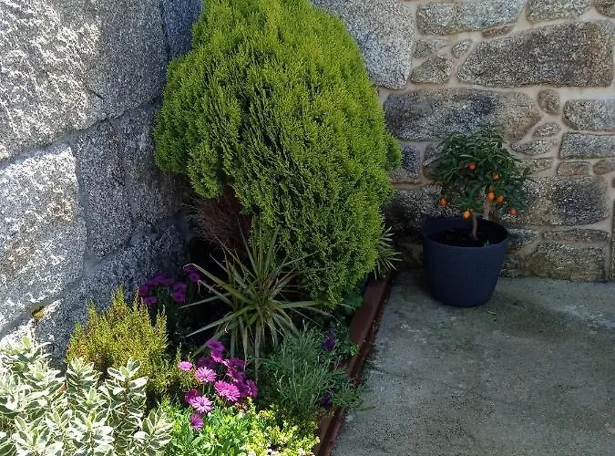 Σπίτι διακοπών O Inino Casita Rural Costera